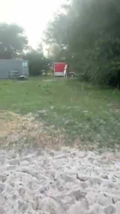 Damn. I just served lunch. I'm not to be blamed for what happened next.