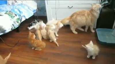 How to instantly clear the room