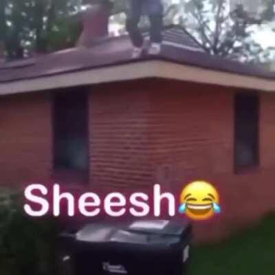 HMB as I surprise attack a trash can