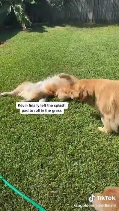 Such a wholesome birthday party.