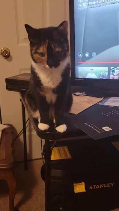 Our daily therapy session