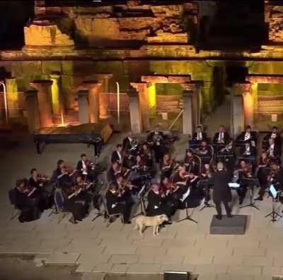 Great stage presence and completely unawares