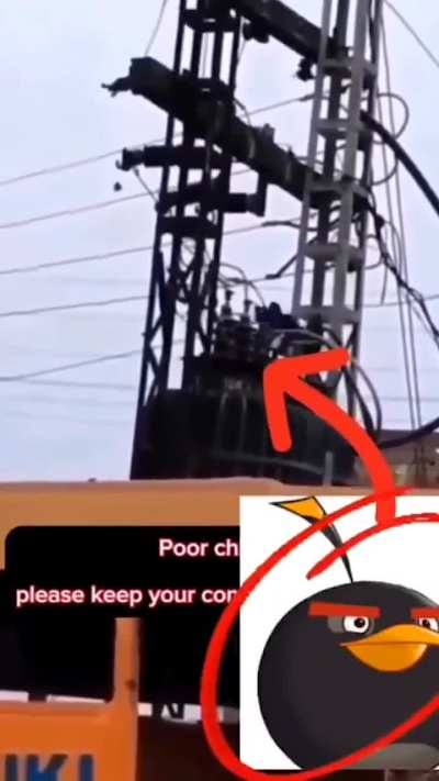 Angry bird live action 