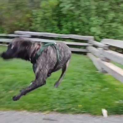 Atleast the landing was good