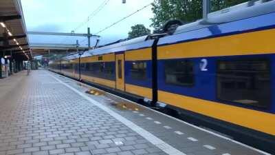 New dutch train sounds fun