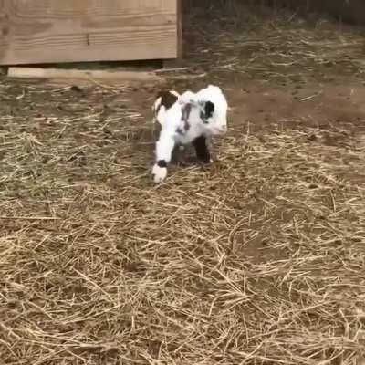 I have no idea what is he trying to do