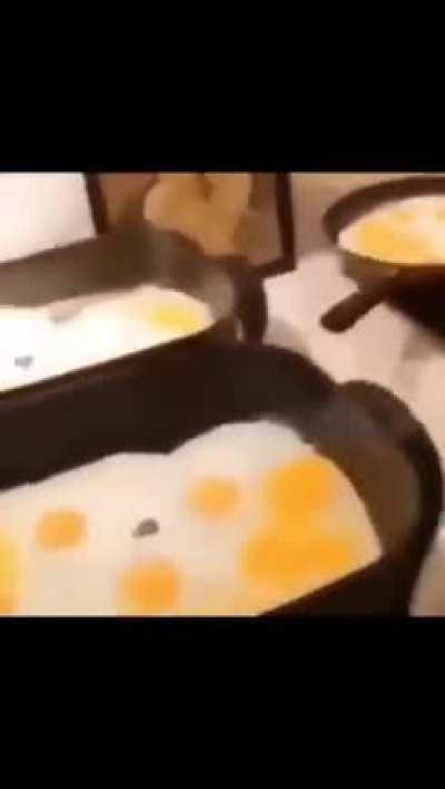 THERE ARE TOO MANY WHY IS THERE TOO MANY!??!