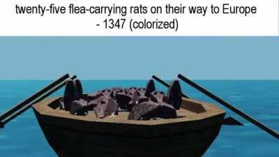 Rotating rats