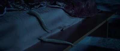 Anakin really messed that one up