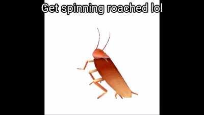 Korone Lewds?! Source:  