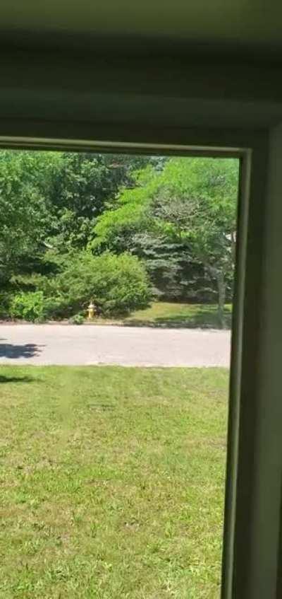 Killed a fly and then saw all of these things