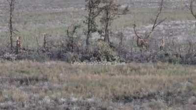 Ukrainian catches footage of Russian misfiring an RPG