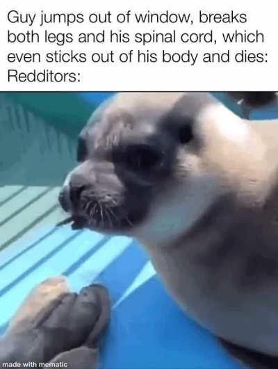 Wholesome indeed it is