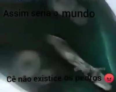 Pedros 😠