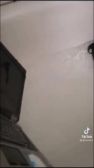 letting your kids free unsupervised.