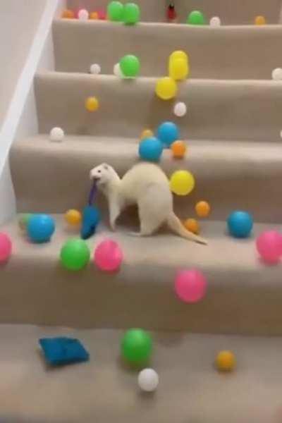 FErrET CrUshEd TO dEaTh BY ROLlInG BoULDers