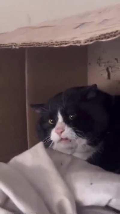 Me when someone wakes me up early on the weekends.