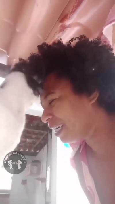 Cortar as bolas ele não quer