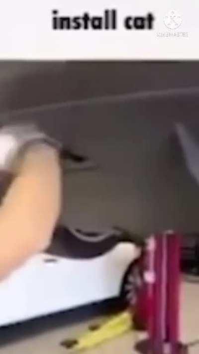 install cat