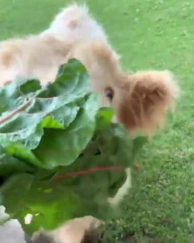 What a precious baby ❤️