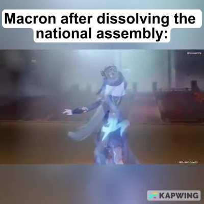 IRL French politics is wild