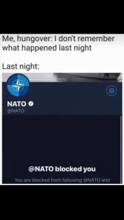 Should've known that asking when Stoltenberg will start his own V-Tuber Channel was going to have Consequences 