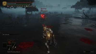 anime moment in elden ring ?