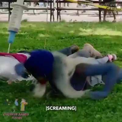 Antivax Karen vs Smurfette