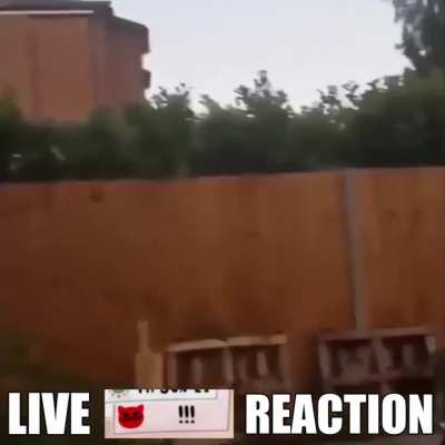 MA THERE'S AN OBESE CAT OUTSIDE (Meme)