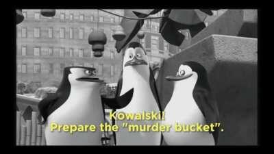 Posting SFW videos I found in NSFW Discord channels Day 63