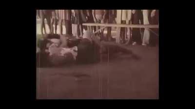 sexy cat fight from an old movie