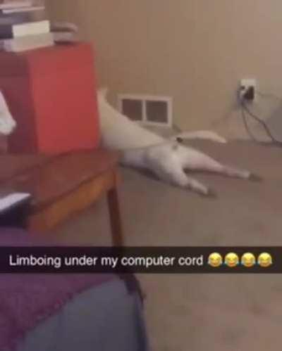 He Is Very Polite And Respectful