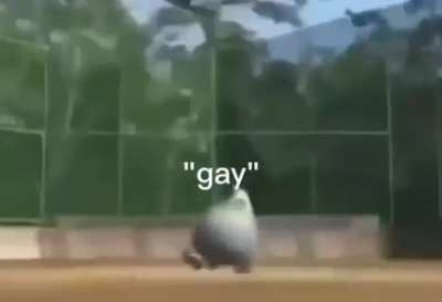 It’s true though…