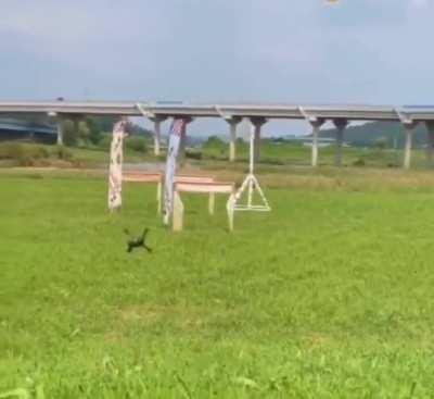 My Drone People need me