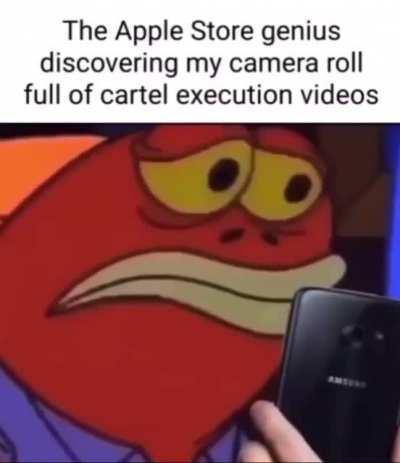 gayspiderbrothel - Video #1165