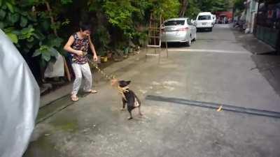 This school project i made