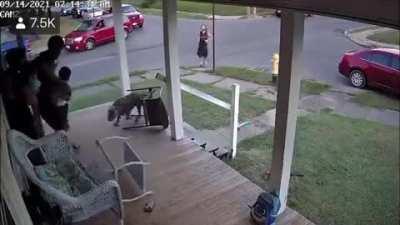 Dog just wanted to have fun