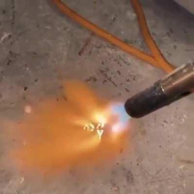 To be friends with the humans