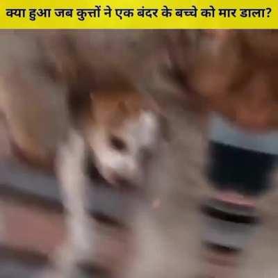 Sad reacts only 🥺