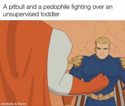 4 year old spotted, pittbull GO