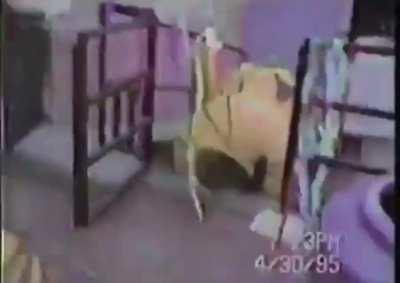 What could go wrong when taking your eyes off someone for a split second