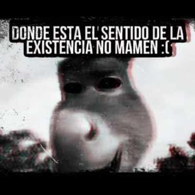 Cual es el sentido de la vida??