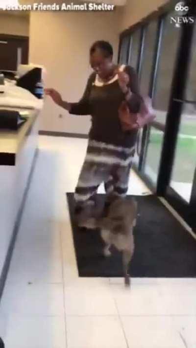 Woman is reunited with her dog that was missing for two weeks.