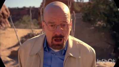 Budget Walter White