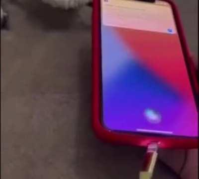 Step Siri what are you doing