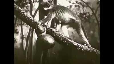 The MADE-IN-CHINA trap