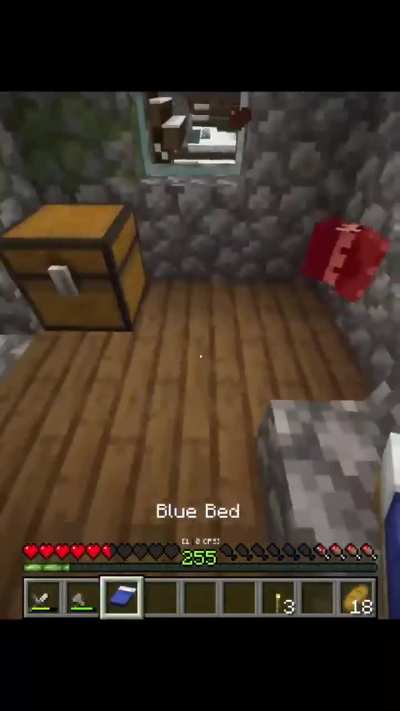 Villager