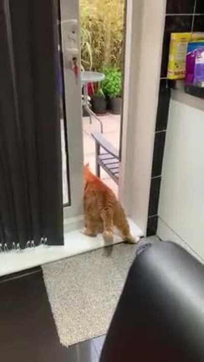 Happening in my house right now. We don’t even have a cat.