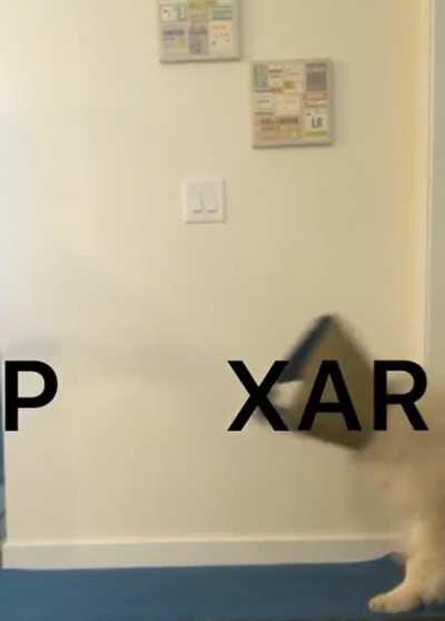 We made the cone days fun!