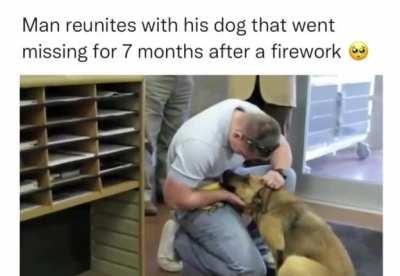 Man reunites with his dog that went missing for 7 months!
